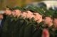 Подготовка граждан, подлежащих призыву на военную службу в Вооруженные силы Российской Федерации, по военно-учетным специальностям